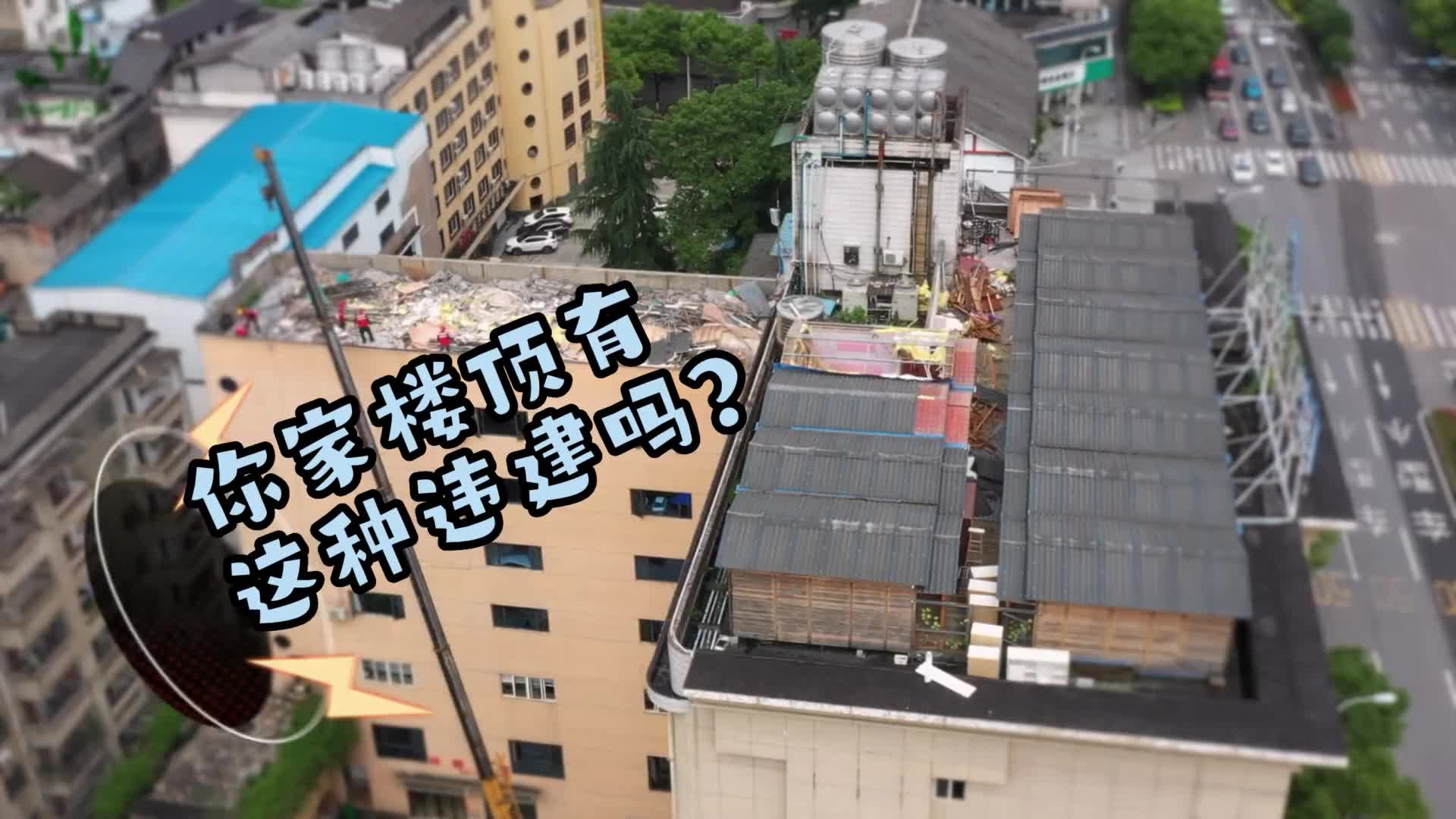 【控违治违】“治违小课堂”