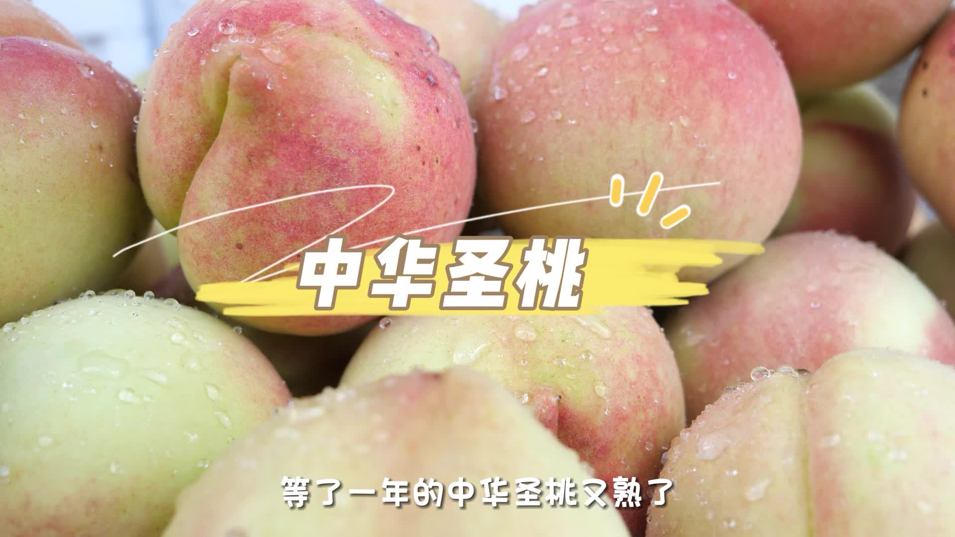八大公山镇蹇家坡村的#中华圣桃 熟了，味道好极了