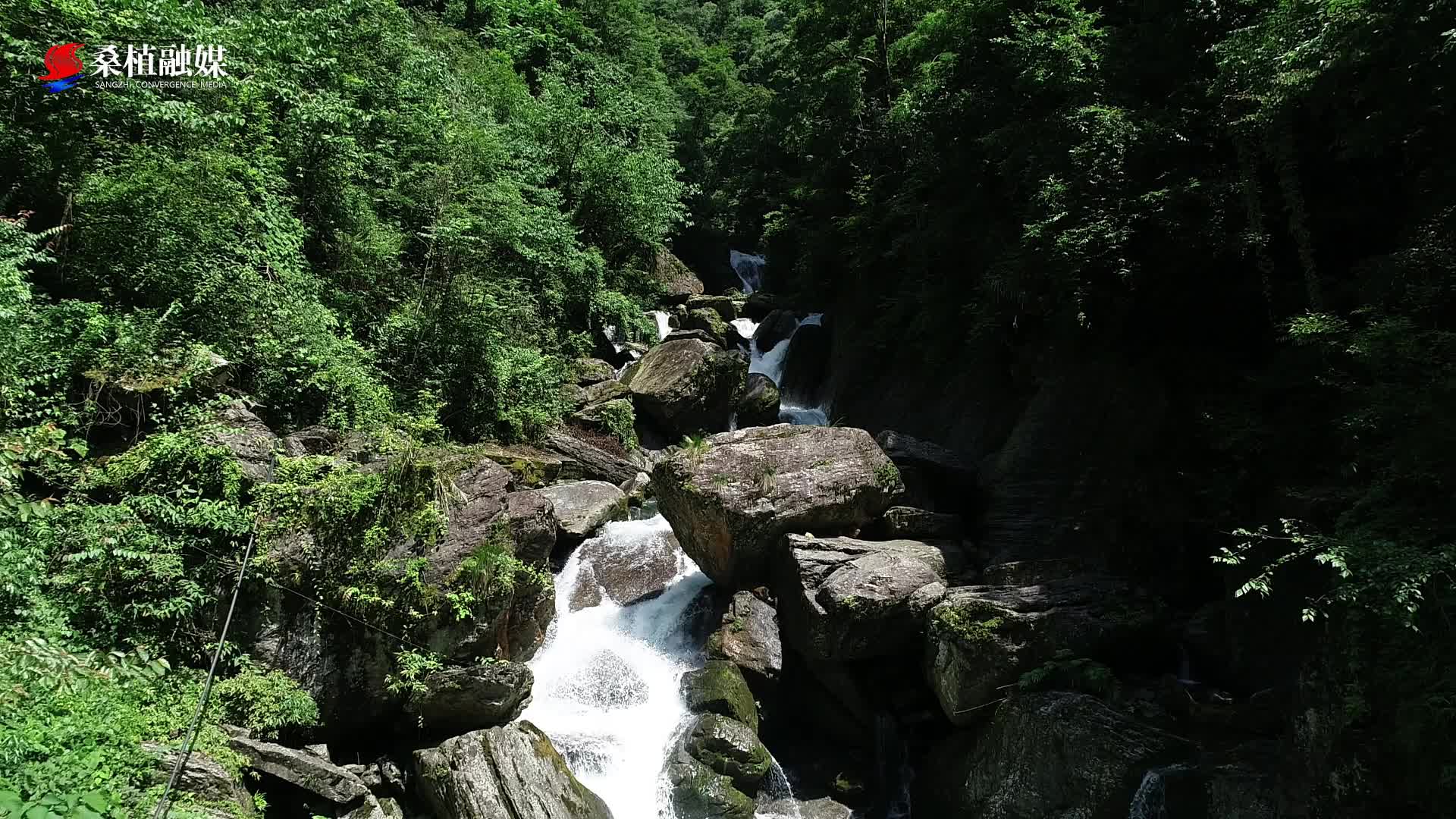 桑植好水（六）|山野间藏着小众玩水宝地。避开人潮，奔赴一汪清泉，夏日清凉出行安排起来！