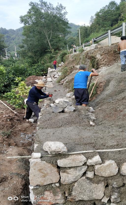 刘家坪白族乡：“五个到户”照亮乡村振兴“路”