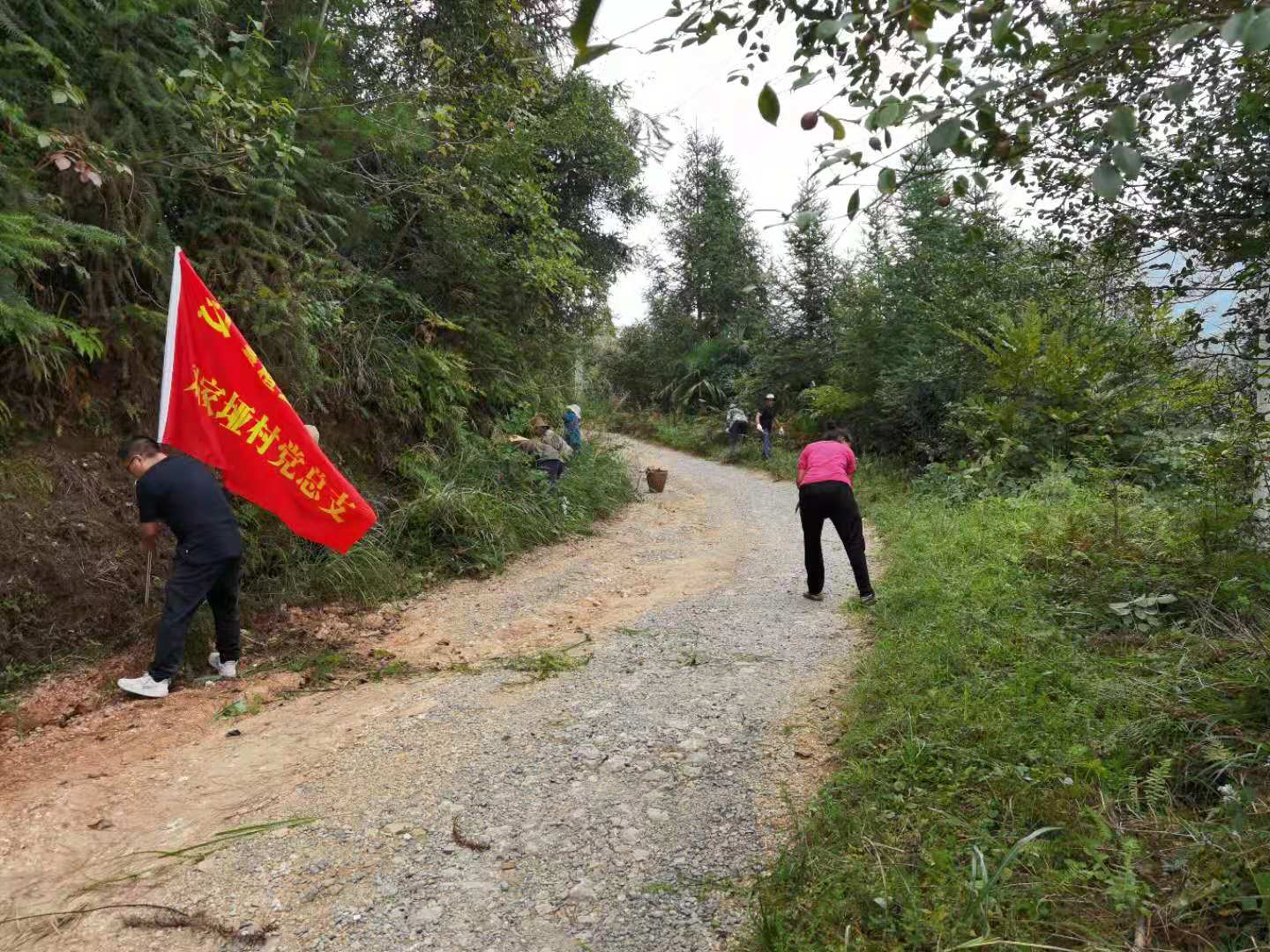 上河溪乡：整洁家乡  做好节前环保工作