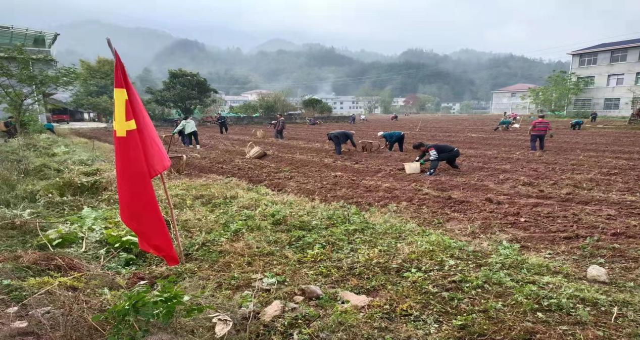 空壳树乡：撸起袖子下田间  帮忙耕地解民忧