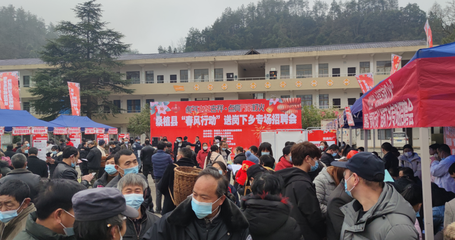沙塔坪乡：“春风行动”促就业 送岗下乡保民生