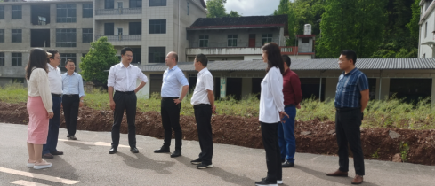 高靖生来桑督查“三沿六区”坟墓整治工作