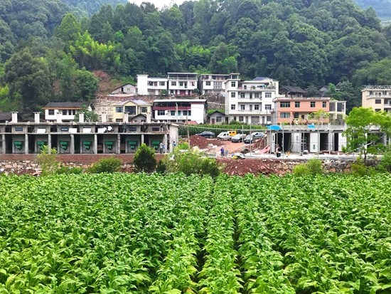 凉水口镇：烟叶备烤工作准备就绪