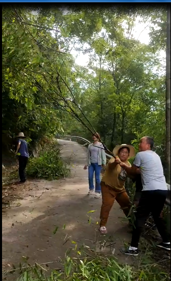 走马坪白族乡走马坪村开展“党建引领助旅发，先锋行动添光彩”主题活动