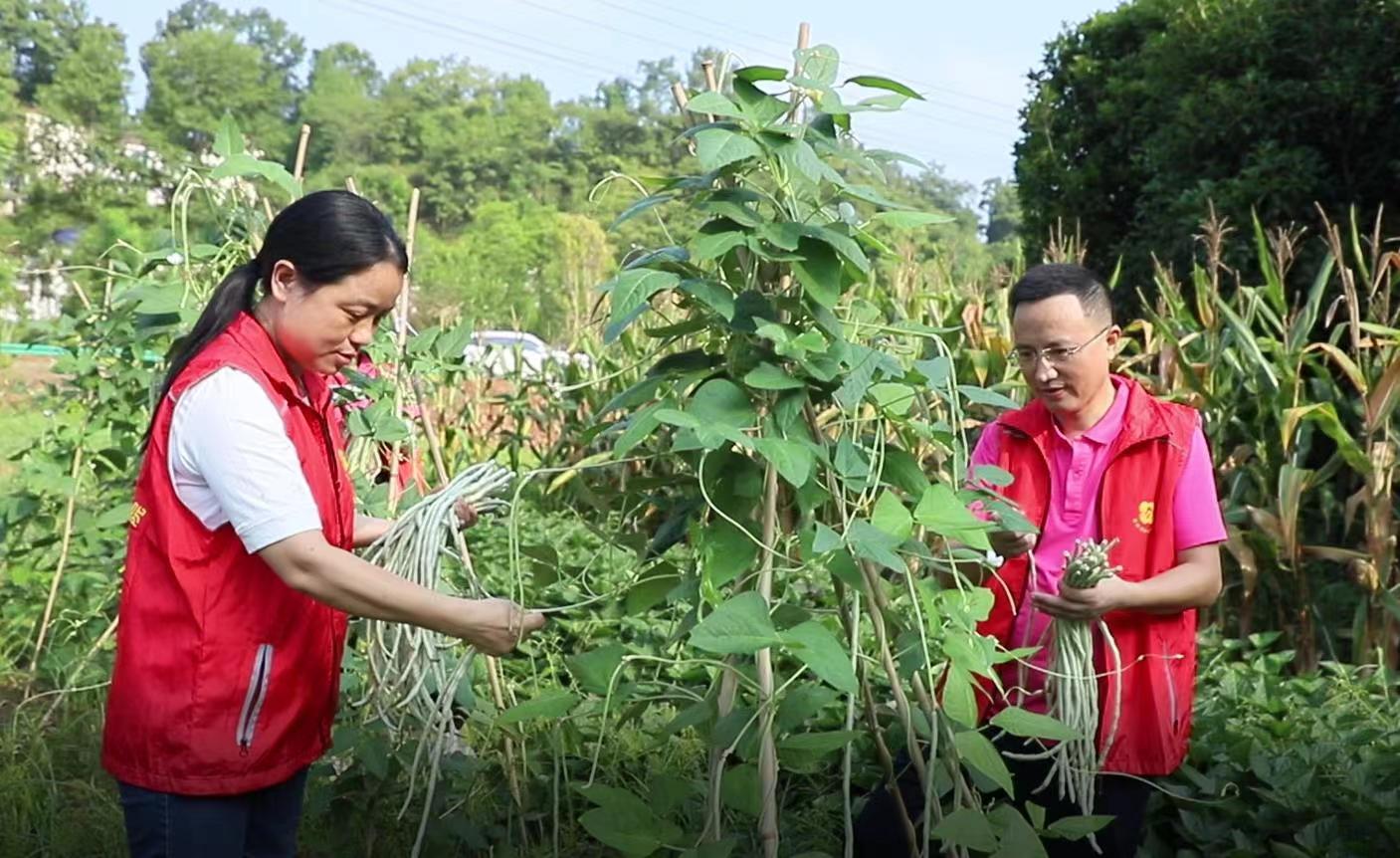 桑植县总医院：医心耕沃土·情暖老兵心