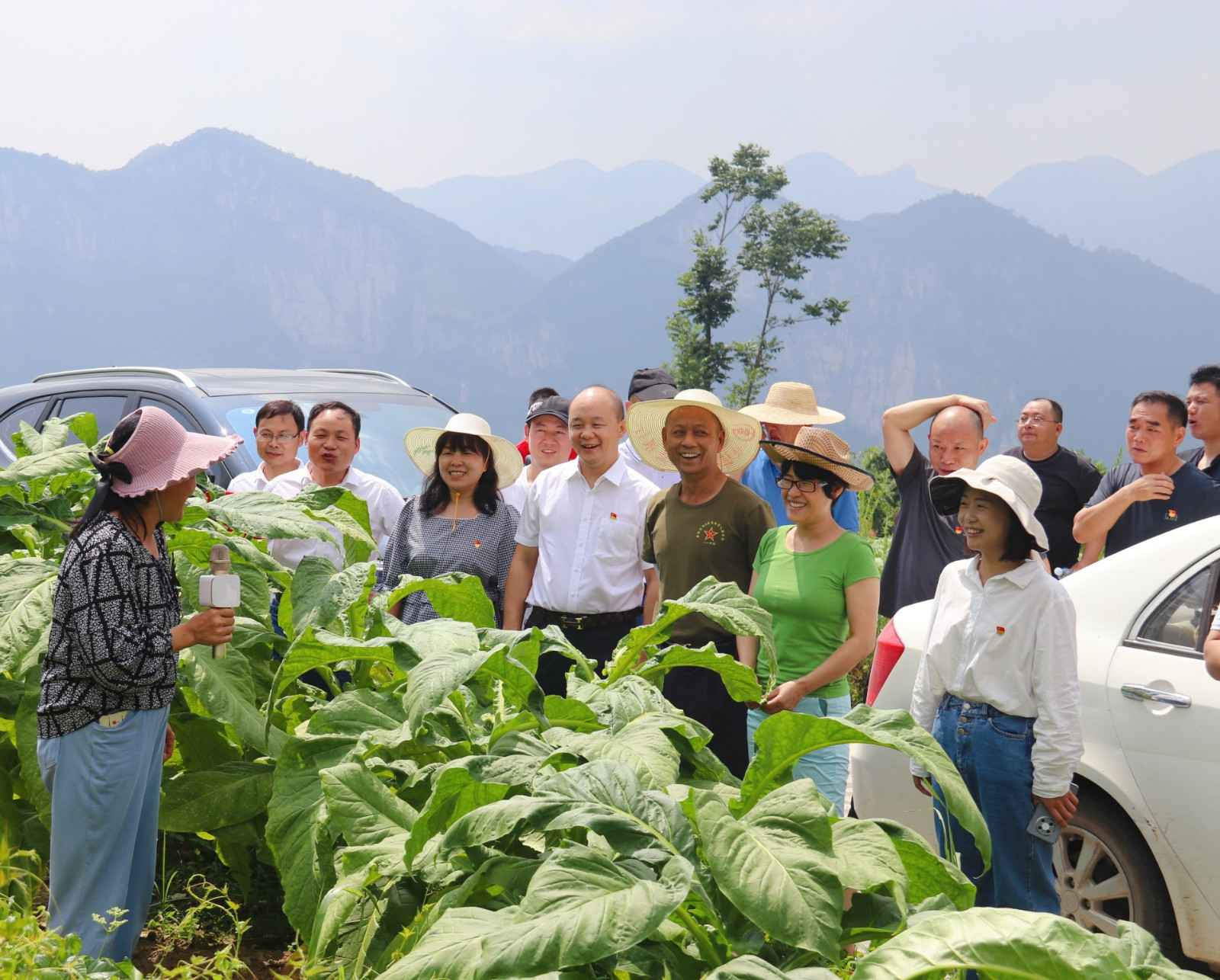 桑植县人潮溪镇疫情防控在行动 助农增收解民忧 - 张家界 - 新湖南