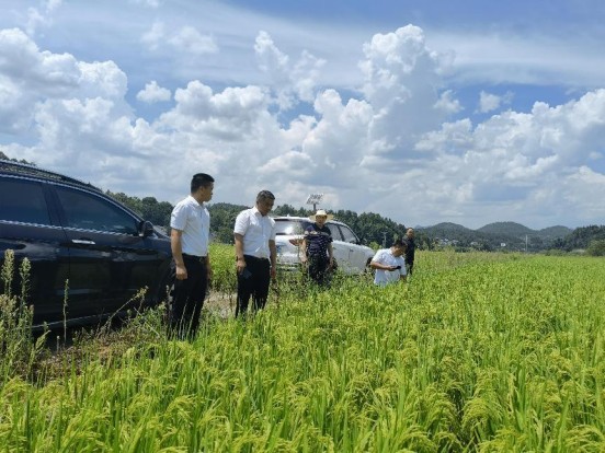 桑植县水利局：科学精准调度 全力抗旱保供水