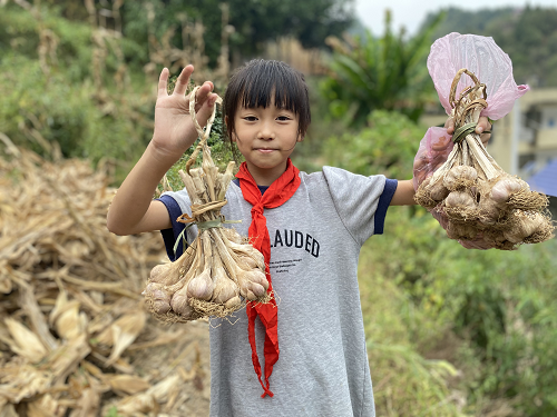 桑植县岩屋口小学：以劳筑梦 以动育才