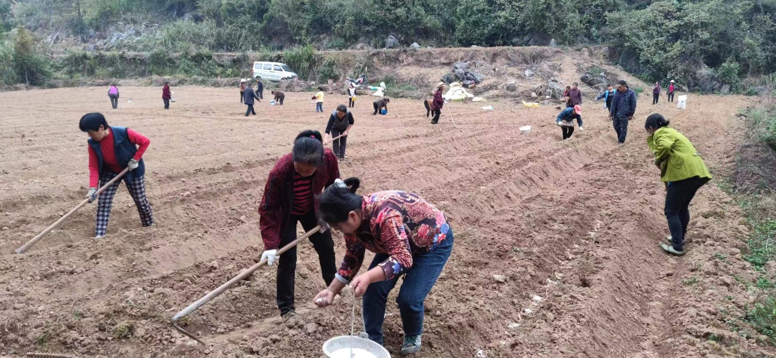 走马坪白族乡：抓好秋冬种  不误农时保生产