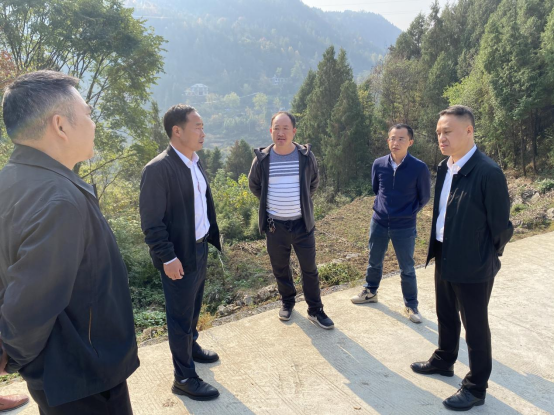 市统计局赴桑开展抗旱减灾工作督导