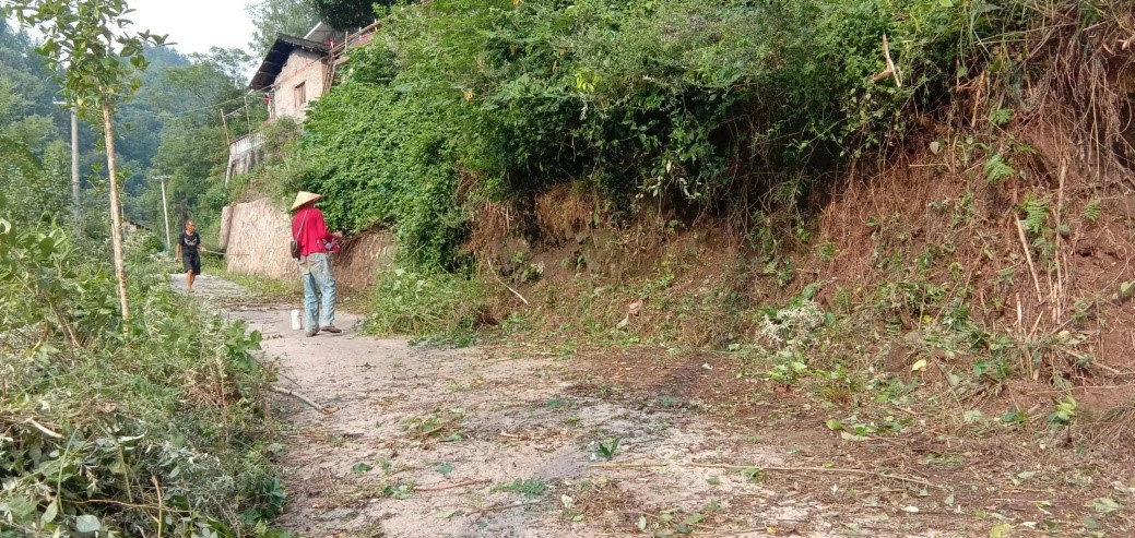 芙蓉桥白族乡：  试点践行“五共”模式 开创道路建设管理养护新格局
