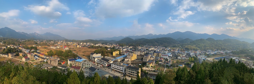 官地坪镇：多方齐发力 打造人居环境新高地