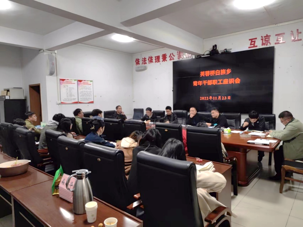 青年夜话谈未来  芙蓉桥白族乡召开青年干部职工座谈会