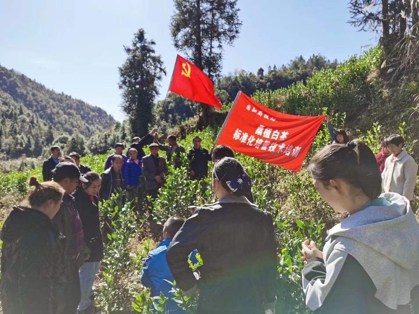 柔肩担使命 基层绽芳华 ——桑植县河口乡本土优秀青年人才朱桂绒