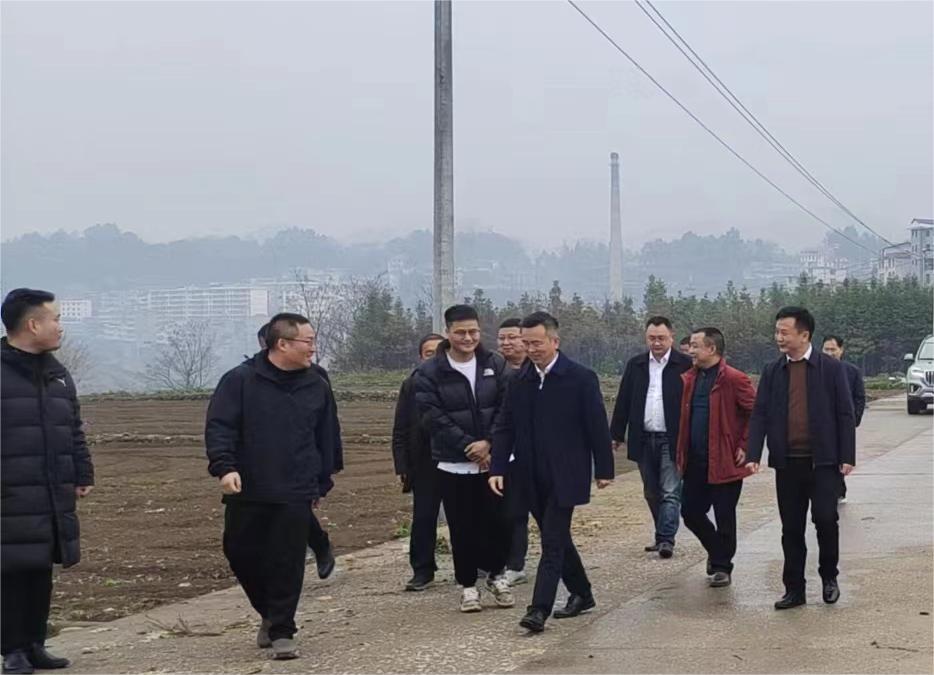 市烟草专卖局调研组来桑调研烟叶生产基地情况