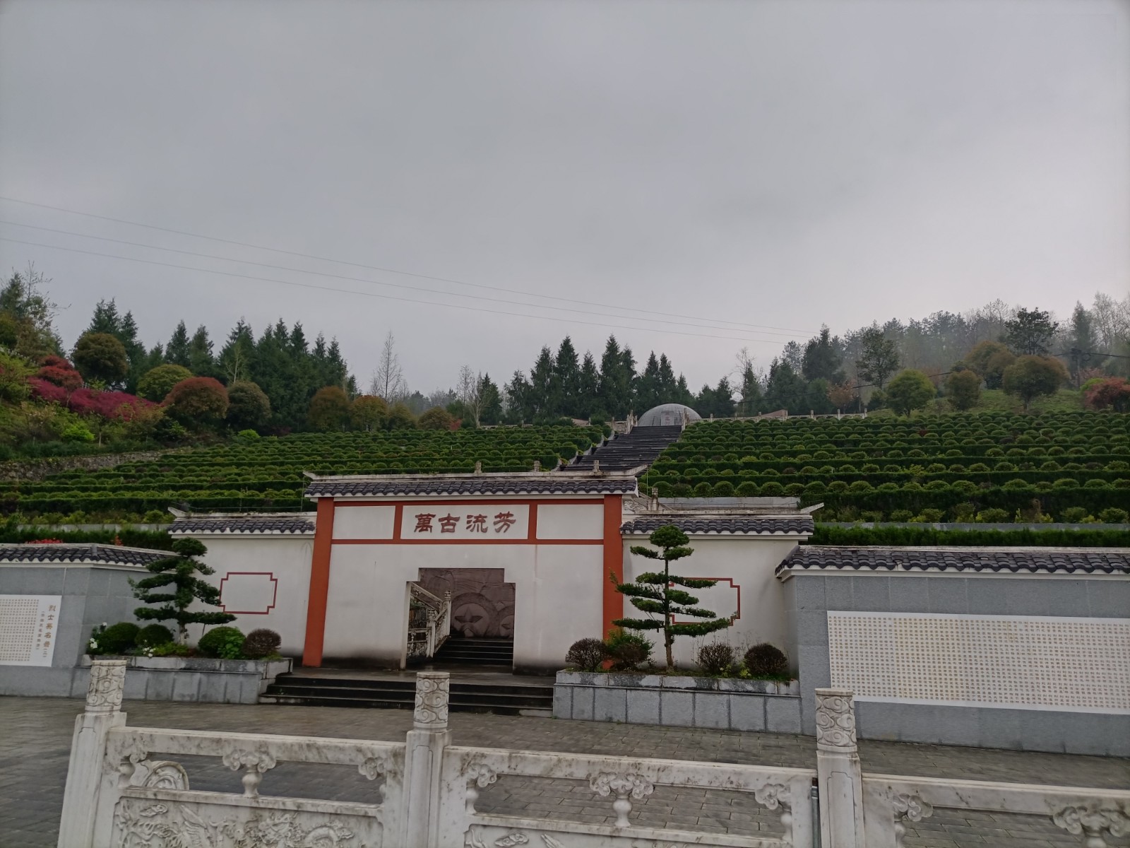 缅怀革命先烈 赓续红色血脉 桑植县各单位开展“清明祭英烈”活动