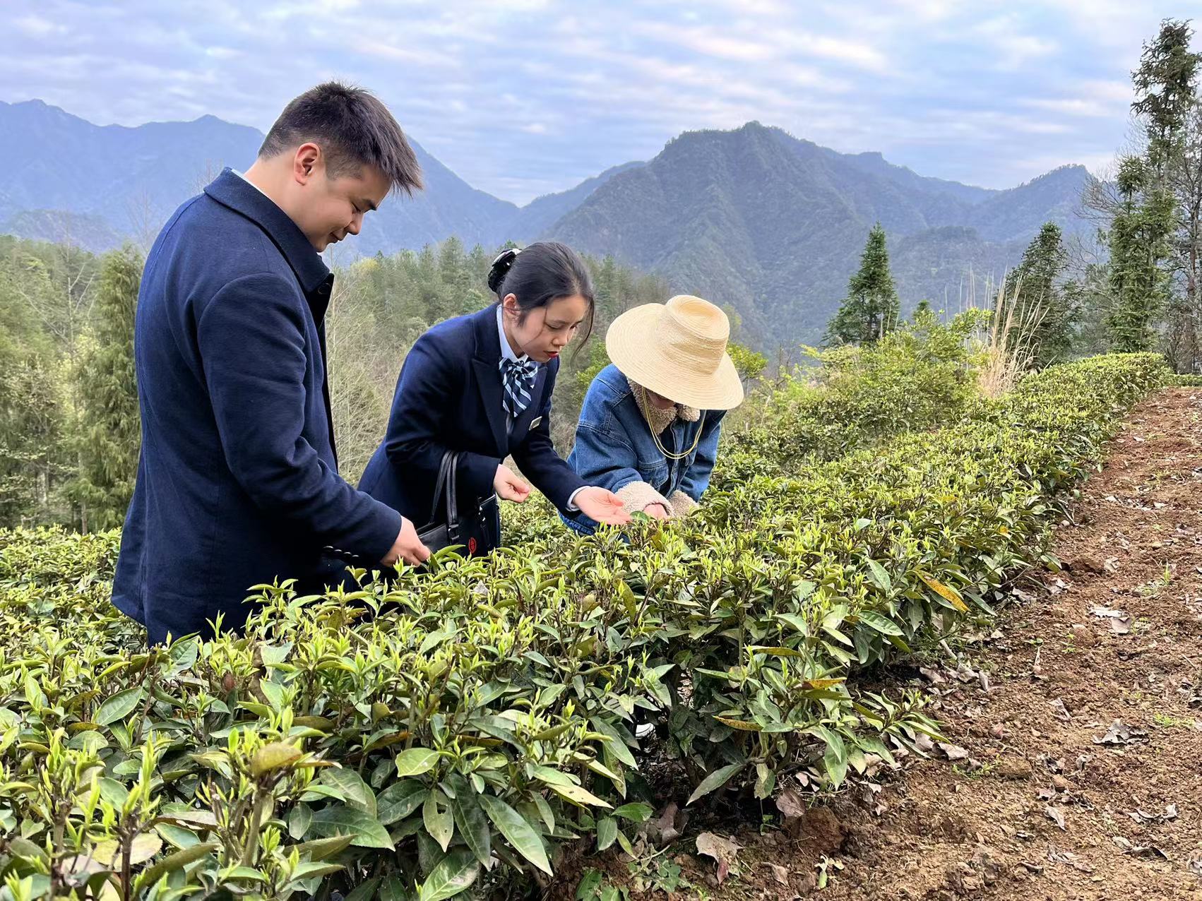 桑植农商银行：勇当地方金融主力军  打好金融服务主动仗