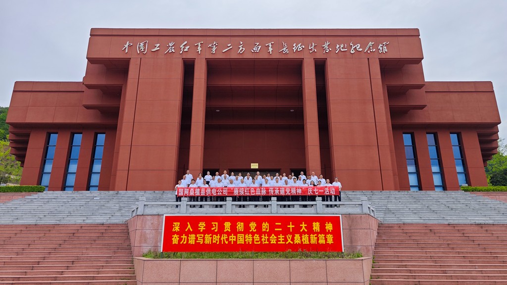 国网桑植县供电公司：开展“赓续红色血脉 传承建党精神”庆七一活动