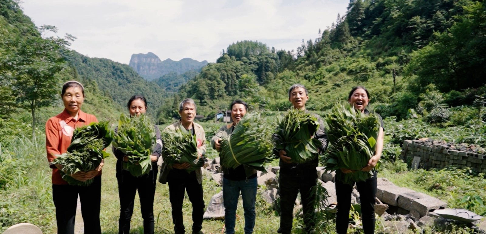 桑植农商银行：持续做优金融服务  让片片粽叶焕发活动