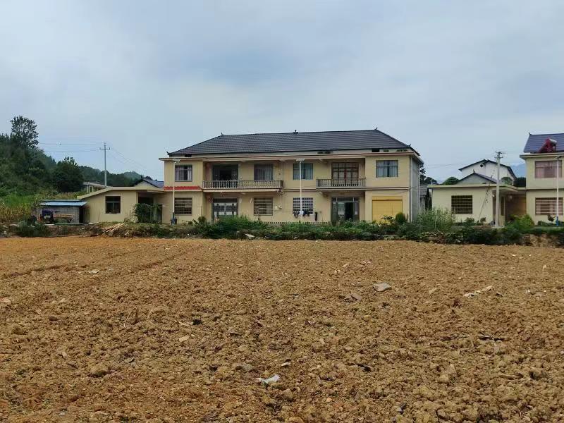 官地坪镇： 坚决守好耕地“红线”  恢复绿色生态家园