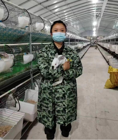 桑植农商银行：“贷”动青年返乡养兔走上致富路