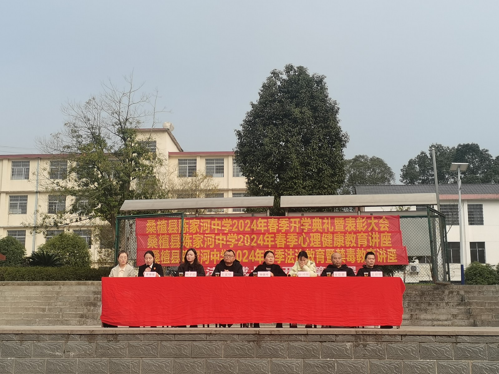 利剑护蕾·雷霆行动丨陈家河镇开展“利剑护蕾·雷霆行动”主题宣传活动
