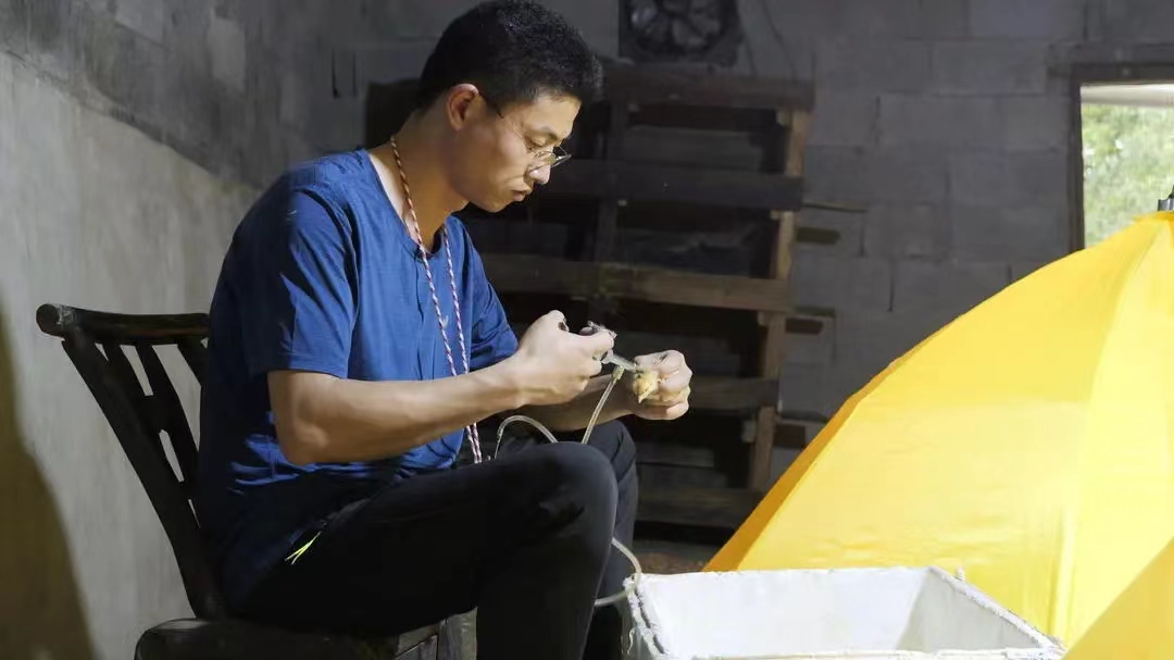 桑植农商银行：金融守护返乡创业青年的致富梦