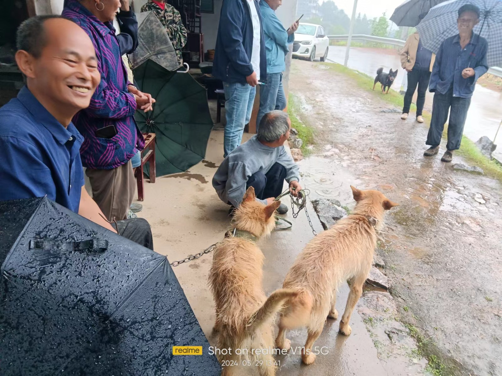 文明养犬 守护你我——桥自弯镇开展狂犬疫苗免费注射活动