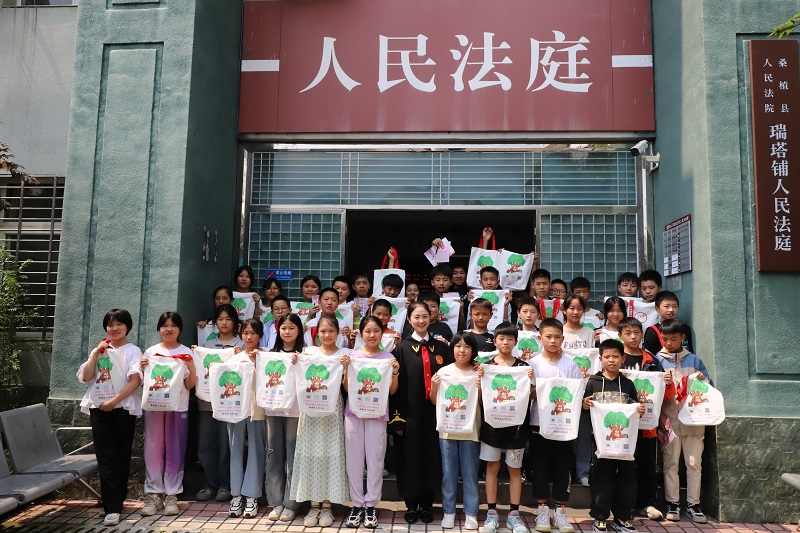 桑植县人民法院“红领巾”模拟法庭进校园