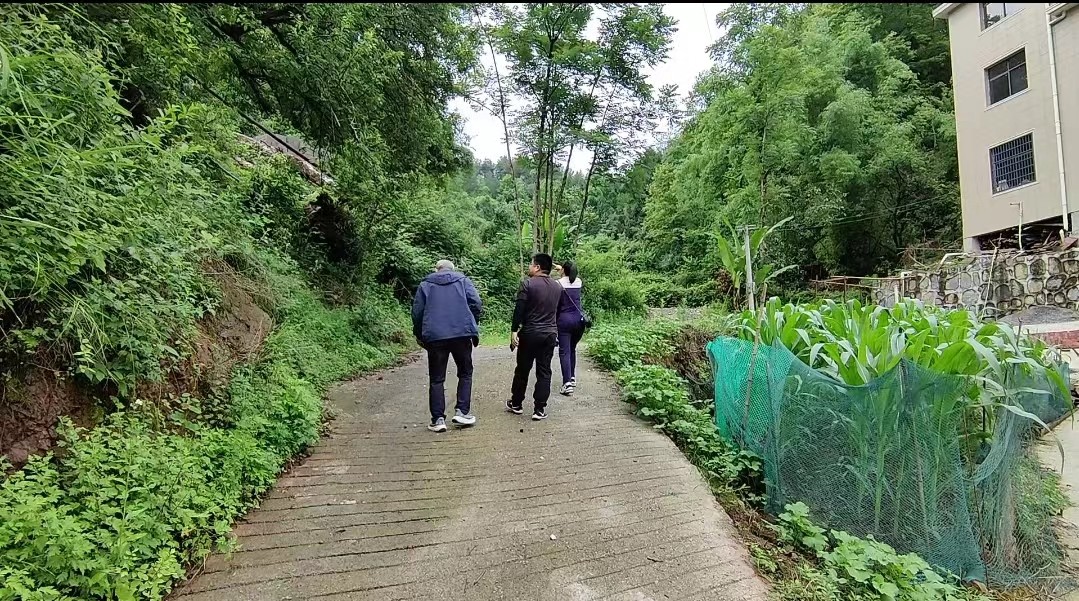 利福塔镇：抓好违建源头管控  守住“零新增”底线