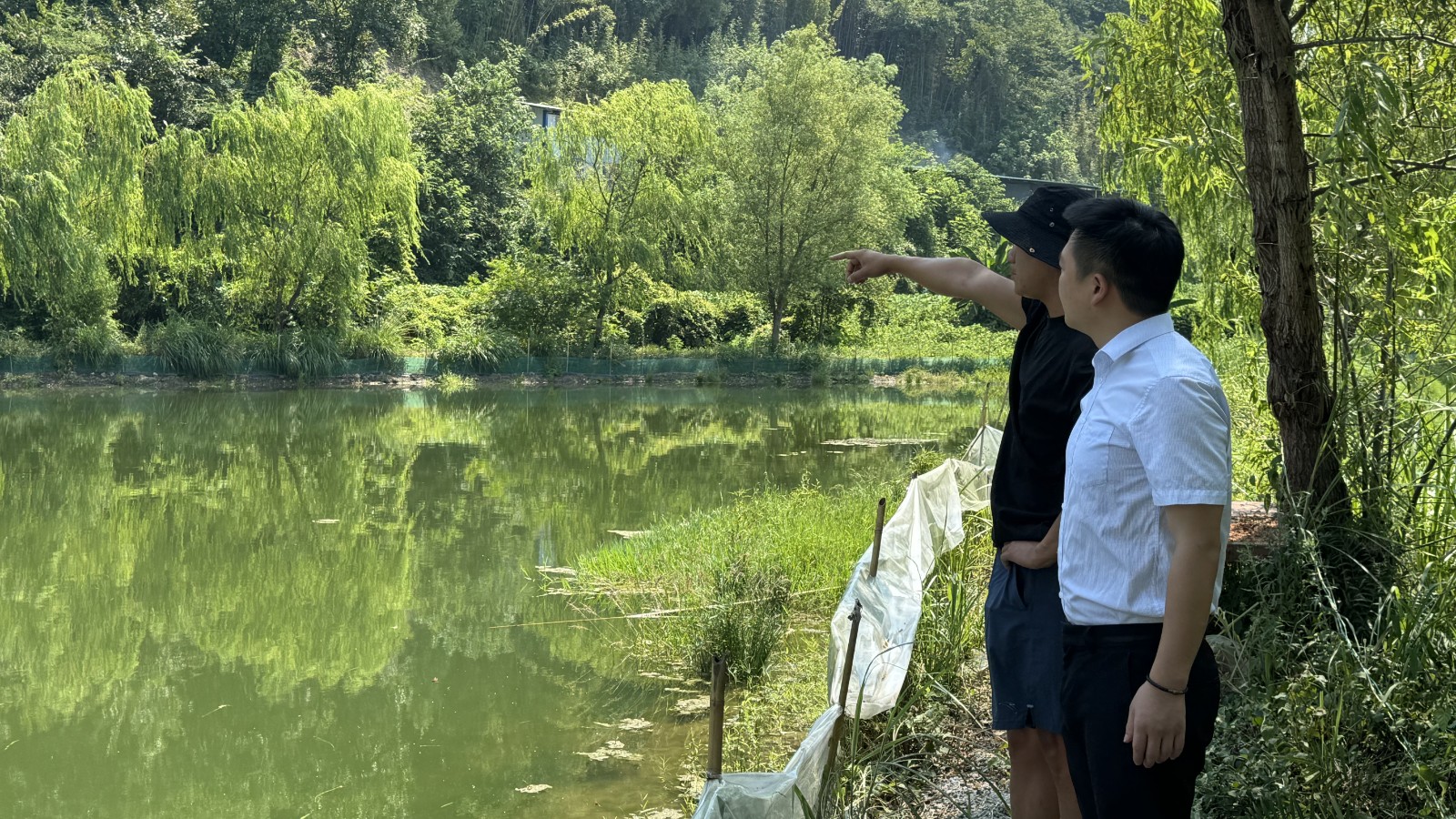 桑植农商银行：金融“养分”助力虾农增产增收