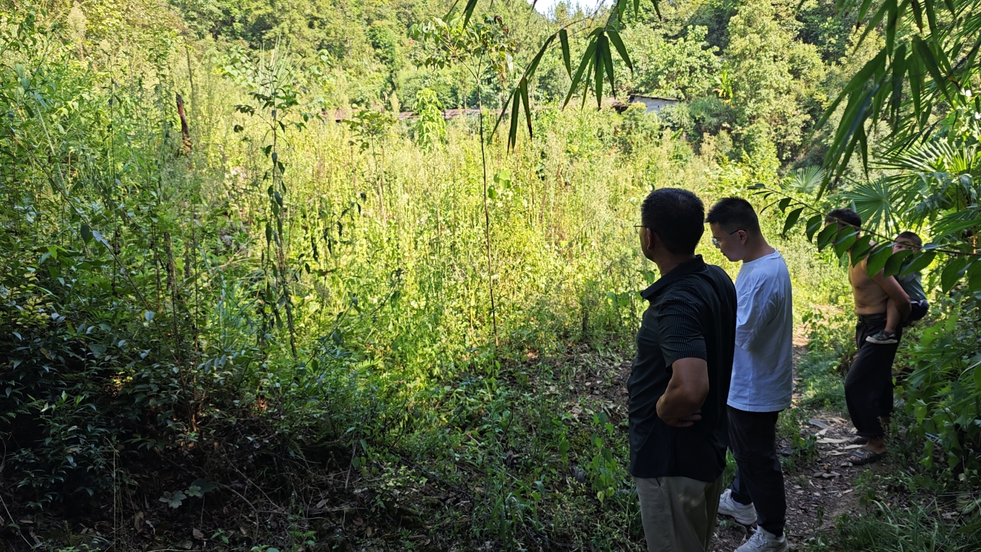 上河溪乡：守住生态保护红线  遏制新增违法建设