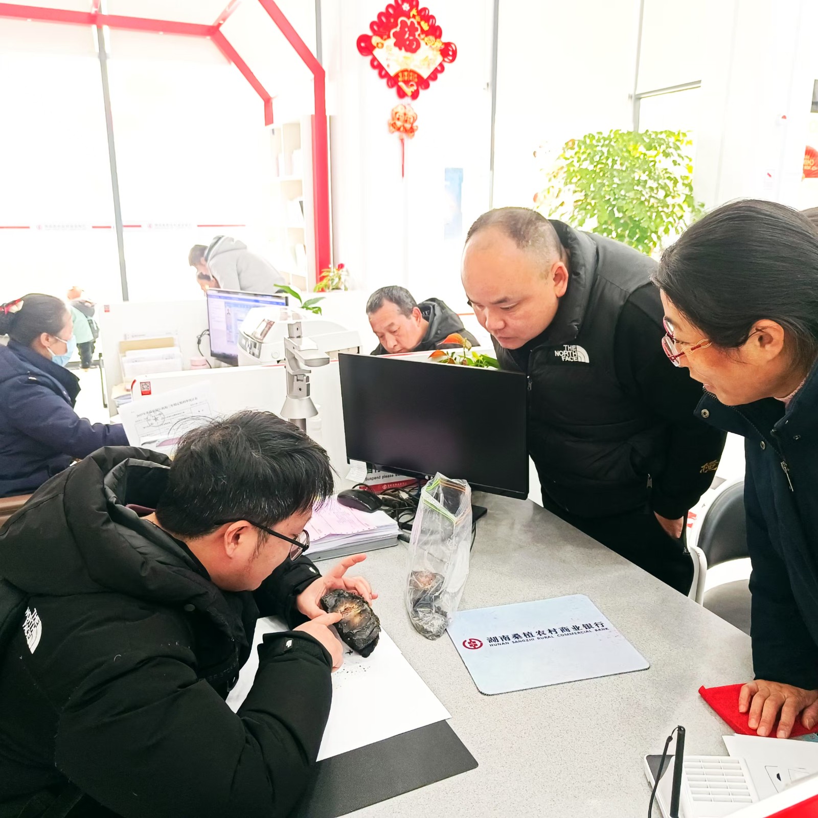 桑植农商银行：用心兑换残损币 专业服务获赞誉