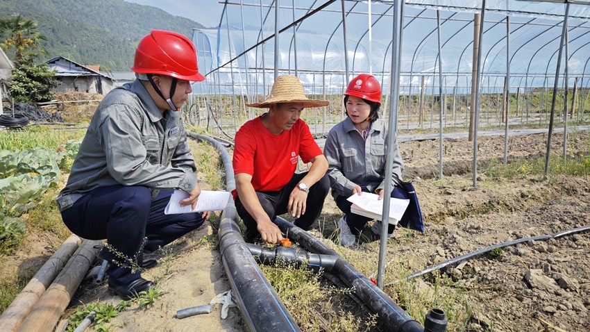 国网桑植县供电公司：供电服务走进田间 春耕春灌用电无忧