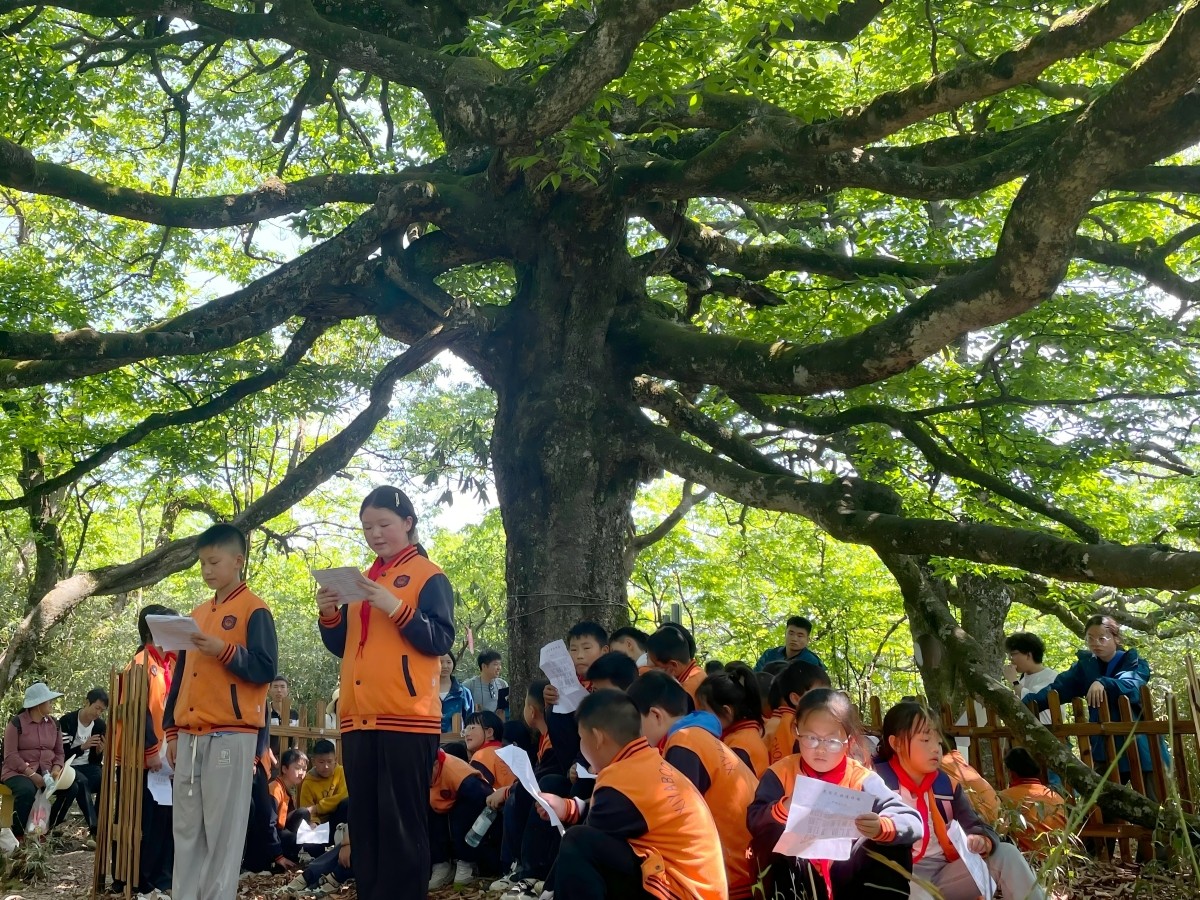 把课堂搬进自然！八大公山学子用脚步丈量家乡生态之美