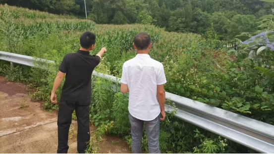 灾后自救进行时 | 不等不靠 桑植各乡镇全力开展灾后自救（二）