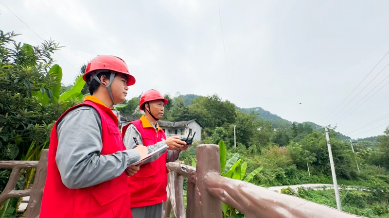 国网桑植县供电公司：砍青扫障打造电网迎峰度冬“绿色通道”