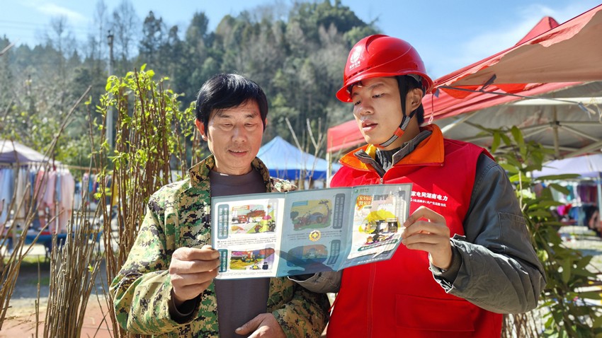 国网桑植县供电公司：植树护电两相宜 安全宣传入民心