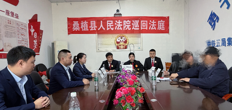 桑植县法院巡回审理金融借款案件 全力维护金融秩序稳定