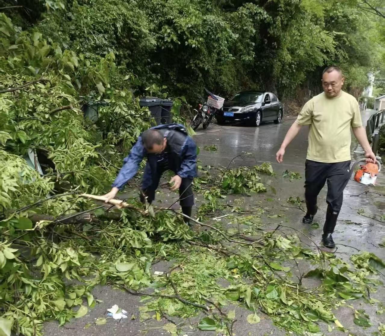 陈家河镇全力开展雨后道路隐患清理工作