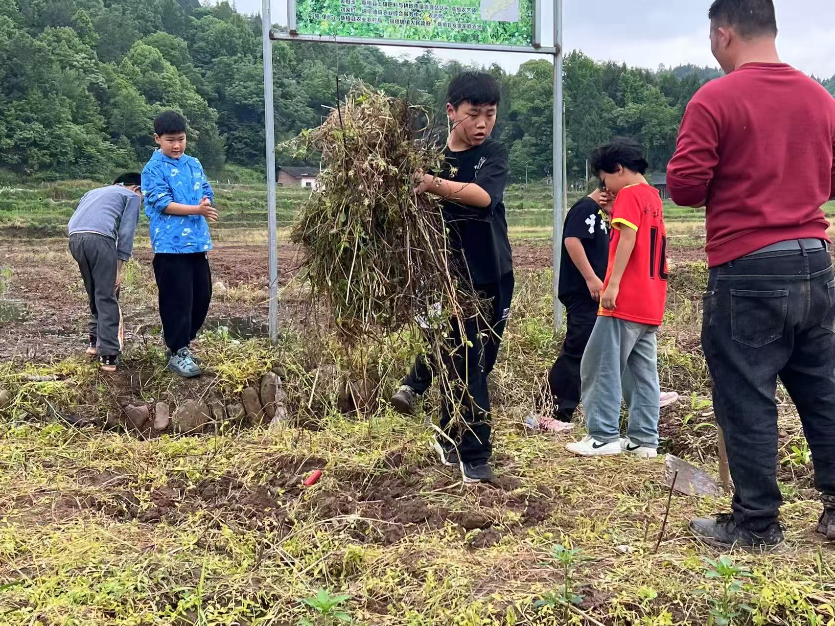 课堂搬进“田间地头” 芙蓉学校学子劳动实践基地里快乐“学农”