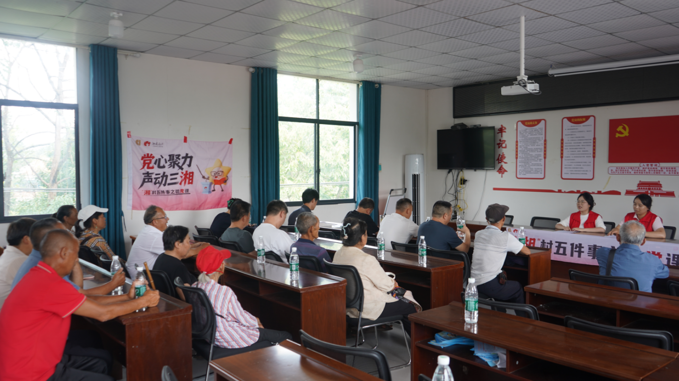 桑植县选调生“澧响”宣讲团： 一堂“粽叶微党课”激活振兴新动能