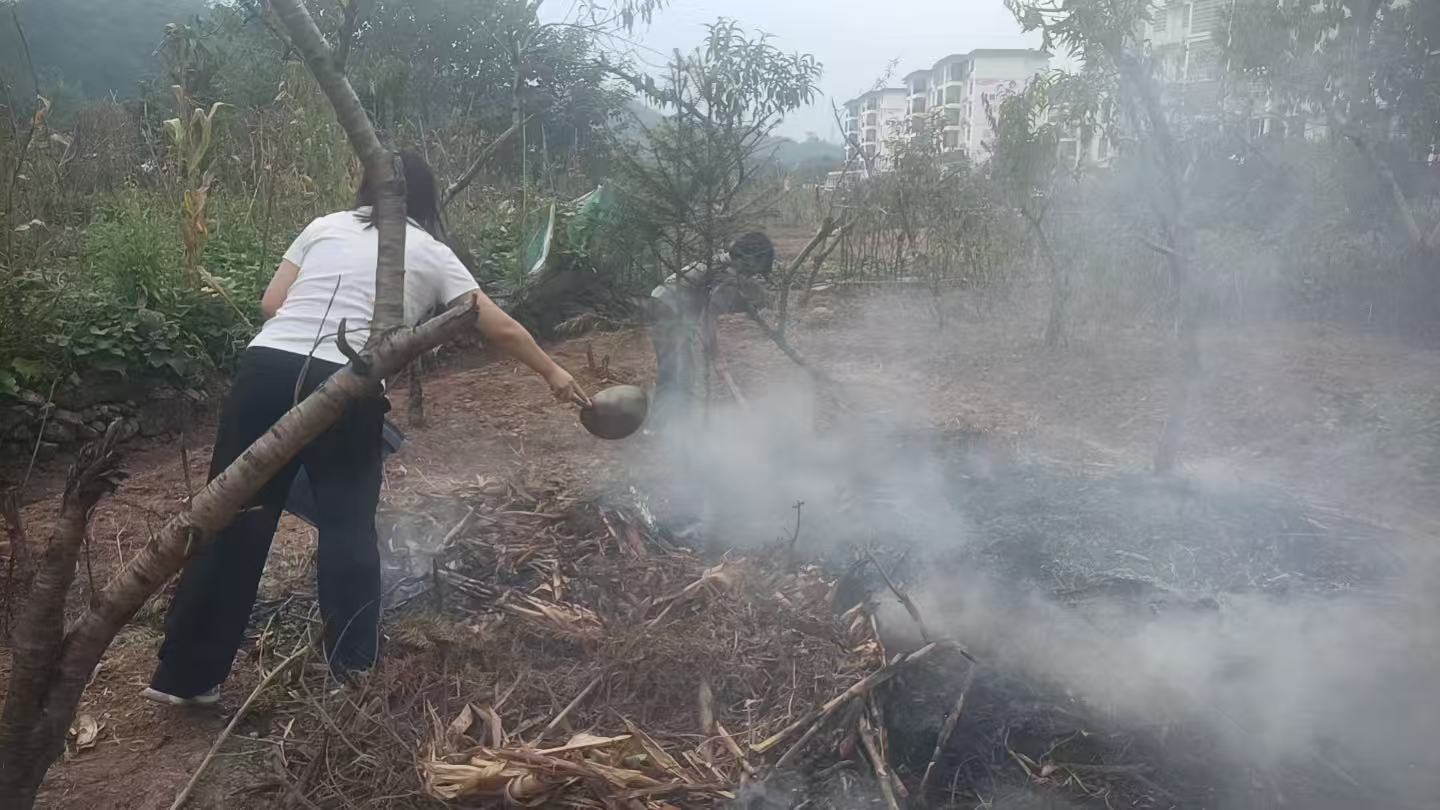 瑞塔铺镇：紧绷禁烧弦 守护金秋丰收季