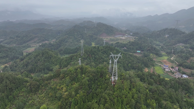 国网桑植县供电公司：“定熊线”首个区段启动放线作业 省重点电网工程进入施工关键阶段