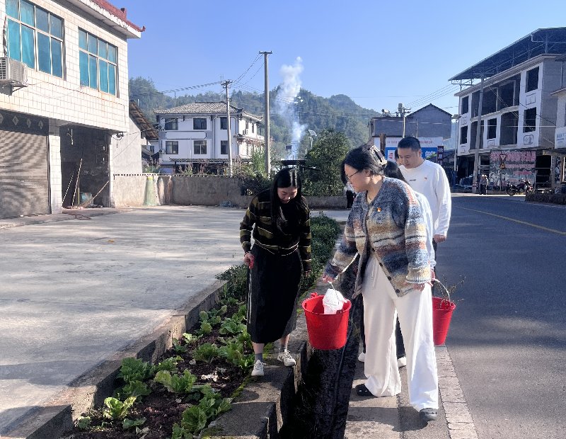 县人民法院开展“守护绿色家园·赋能红色沃土”主题党日志愿服务活动